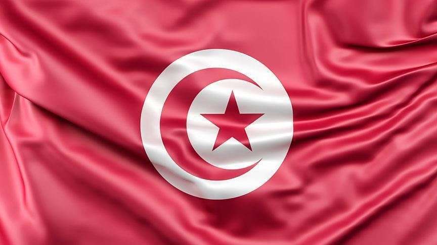 فكرة مشروع ناجح في تونس ناجحة ومربحة