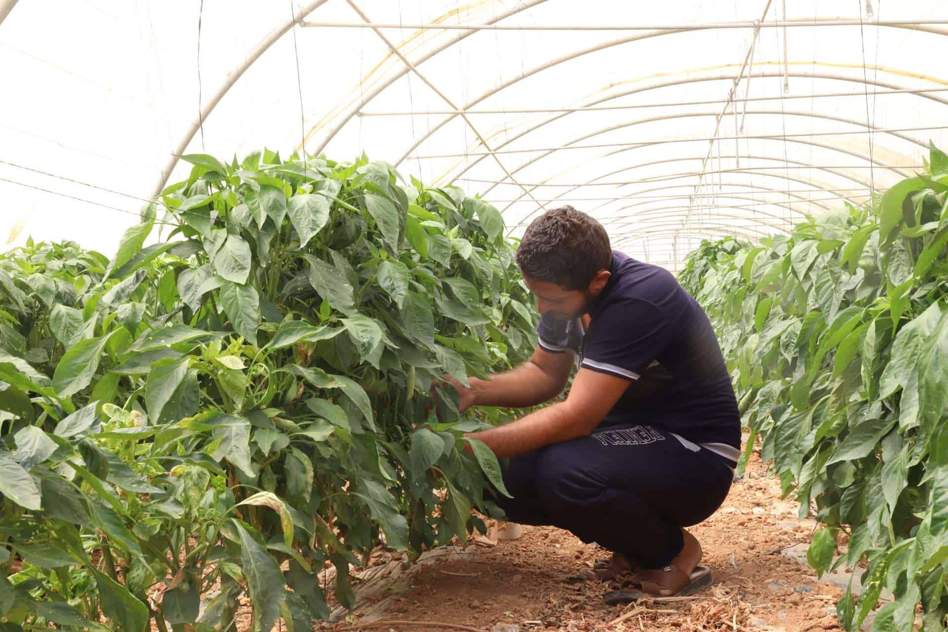 افضل المشاريع الناجحة في السعودية