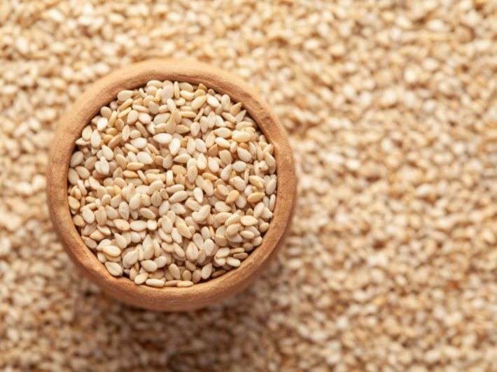 دراسة جدوى مشروع زراعة السمسم​